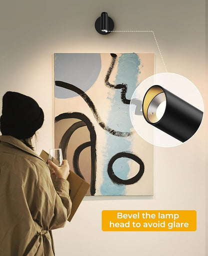 Picture Light for Wall, Battery Operated Art Light for Paintings CCT Dimmable Recharging Gallery Battery Wall Light with Remote Control for Living Room Gallery Dartboard Art Bathroom 2PCS