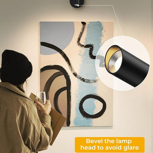 Picture Light for Wall, Battery Operated Art Light for Paintings CCT Dimmable Recharging Gallery Battery Wall Light with Remote Control for Living Room Gallery Dartboard Art Bathroom 2PCS