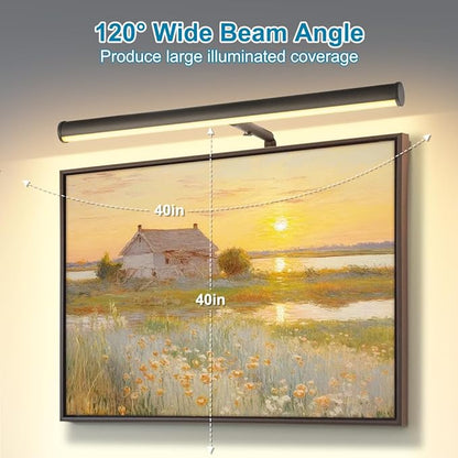 Plug in LED Picture Lights for Paintings, 16inch 3000K Adjustable Art Light Gallery LED Wall Light Wall Sconces for Display Art Work, Oil Rubbed Bronze Finish, 6W CRI90+, ETL