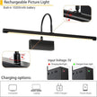 Battery Operated Picture Light with Remote, 24 inch Wireless Rechargeable Art Light with Timer, Dimmable 3CCT Gallery Lighting for Paintings, Portraits, and Canvas (Black)