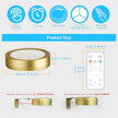 4 Pack Gold Battery Operated Picture Light, Wireless Picture Lights for Wall with Remote Dimmable Timer, Lighting Modes Pictures Frame Light for Artworking, Magnetic Painting Lights Wall Decor