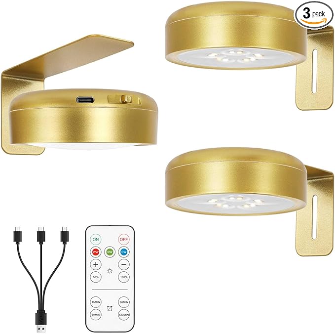 Picture Light for Wall with 2500mAh Rechargeable Battery,Wireless Painting Art Display Lighting for Portait Frame Gallery Poster with Remote ,3 Lighitng Colors&Dimmable Timer for Living Room Bedroom