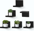 Small Floating Shelf for Wall Set of 6,Mini Shelves for Display Small Figurine,Plant,Collectibles,Wall Shelves for Bedroom Living Room Bathroom Kitchen Decor（Black）