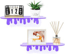 SetGame 2-Pack Acrylic Small Wall Shelves - 12 Inch Floating Shelf for Walls, Home Wall Display Ledges for Storage, Room Décor, Small Album & Items Organizer Display