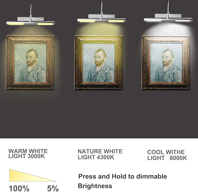 BIGLIGHT Wireless Battery Operated LED Picture Light with Remote, 13In Rotatable Light Head with 3 Lighting Modes, Dimmable Display Lamp with Timer for Picture Frame Painting Portrait Wall Art, Silver