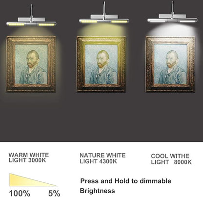 BIGLIGHT Wireless Battery Operated LED Picture Light with Remote, 13In Rotatable Light Head with 3 Lighting Modes, Dimmable Display Lamp with Timer for Picture Frame Painting Portrait Wall Art, Silver