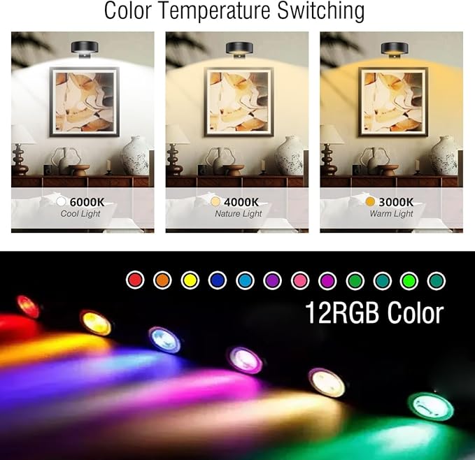 Xuolder Picture Lights for Wall,2000mAh Rechargeable Battery Poster Lights LED Magnetic Painting Light with Remote Control,3 Color Temps&12 RGB Timer Dimmable Wall Light for Art Display Wall Decor