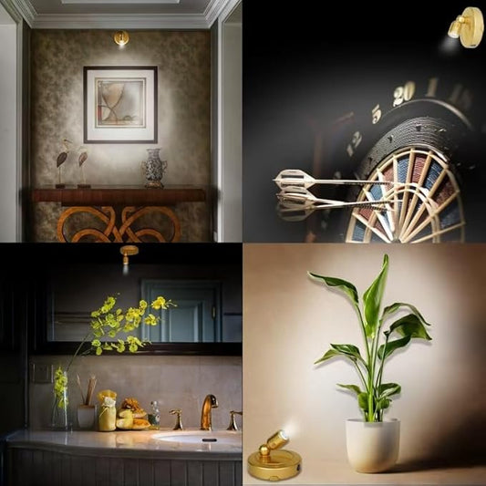 Picture Light Battery Operated, 3 Color Temperatures Picture Light with Remote, Indoor LED Spot Lights for Plants for Wall Frame Dartboard Art Painting Display Accent-Gold