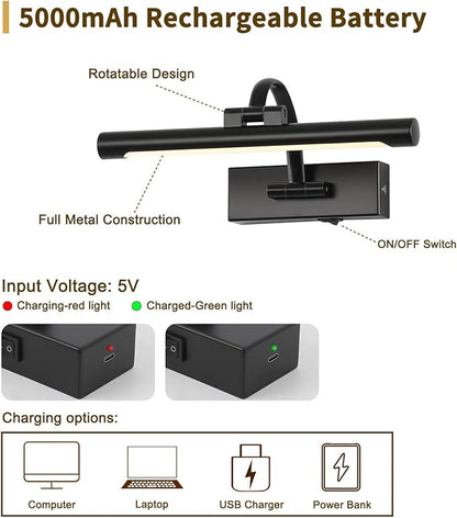 Battery Operated Picture Lights for Wall Black Art Light Wireless Gallery Lights with Timer and Remote 12 Inch 2W Warm White