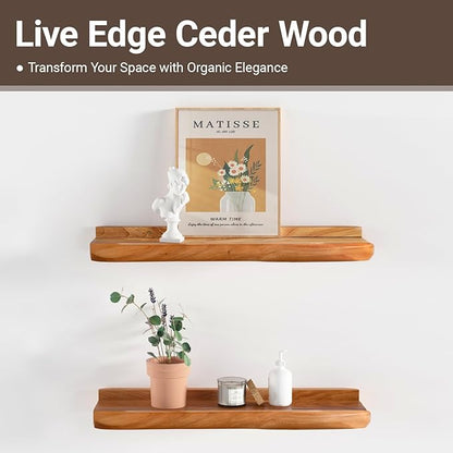 Ceder Wood Live Edge Picture Ledge Shelf Set of 2 - Handmade Natural Cedar Root, Floating Wall Shelves for Frames (16")