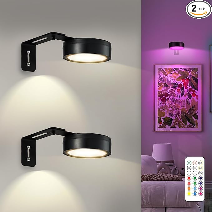 2 Pack Black Picture Lights for Wall Battery Operated, 12 RGB Color Changing LED Wall Art Light, Magnetic Painting Light with Remote Control, Art Gallery Lights Photo Sconce for Art Display