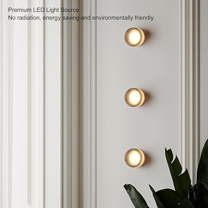 flexman Modern Indoor LED Wall Sconce, 3000K Warm LED Minimalist Round Wall Lamp, 5.5 X 2.7 Nordic Style Acrylic Wall Lights for Living Room Bedroom Corridor Verandahs