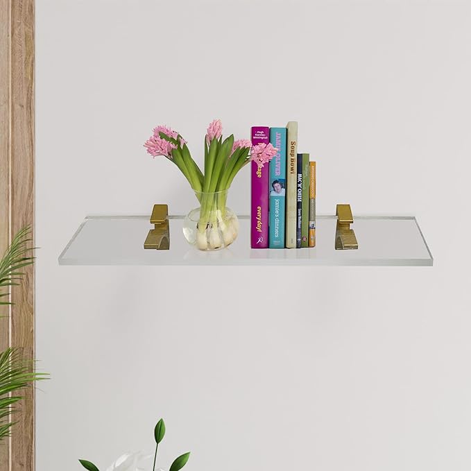 Clear Acrylic Shelves 6