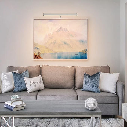 LED Picture Lights for Paintings Plug in, 14 inch 4W Adjustable Art Light Gallery Wall Light for Display Art Work, Brushed Nickel Finish, CRI90+, 3000K Warm White, ETL Listed