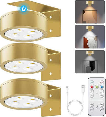 Picture Lights for Wall, 3 Lighting Modes Magnetic Art Display Light,Rechargeable Battery Operated Led Painting Light with Remote Control Dimmable & Timer,3Pack Gold