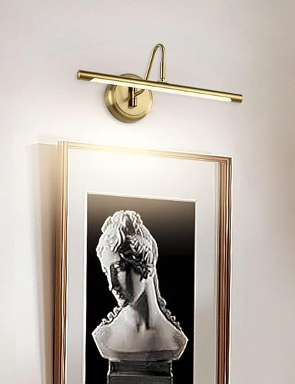 Modern LED Picture Light Hardwired, 16.5 Inch Dimmable Gallery Art Light with 270° Rotatable Lamp Head, Brass Wall Sconce for Paintings Display, 3000K Warm White, Metal Swing Arm Art Lamp for Mirror