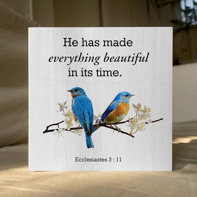 Country He Has Made Everything Bible Verse Artwork Wood Box Sign Rustic Farmhouse Style Ecclesiastes 3:11 Christian Wood Block Plaque 5 X 5 Inches Home Office Desk Sign Decor for Presents