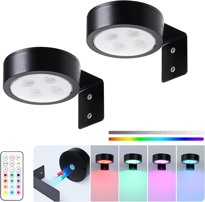 2-Pack Wireless Battery Operated Painting Light with Remote Control,13 Color RGB Magnetic Led Art Display Light for Picture Frame, Dimmable and Timer Painting Light, Wall Decor Black display light