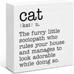 Cat Definition Decor Sign, Cat Lover Gifts for Women Men, Home Office Tabletop Shelf Decoration 5 x 5 Inches