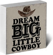 Western Decor Cowboy Decor Western Bathroom Wooden Box Sign Farmhouse Home Decorations Rustic Bedroom Funny Desk Shelf Centerpiece Table Display