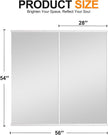 Delma Home Gym Mirror,54''x28''x2PCS Silver,Large Full Body Tempered Glass Frameless, Wall-Mounted for Gym, Yoga, Garage, Bedroom, Bathroom