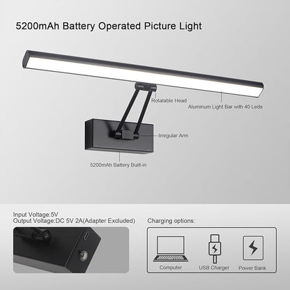 Picture Light, 13.5" Art Light, Black Picture Light Battery Operated,3CCT,Wireless Picture Lights with Remote, Light Over Picture Frame for Wall Painting(Black)
