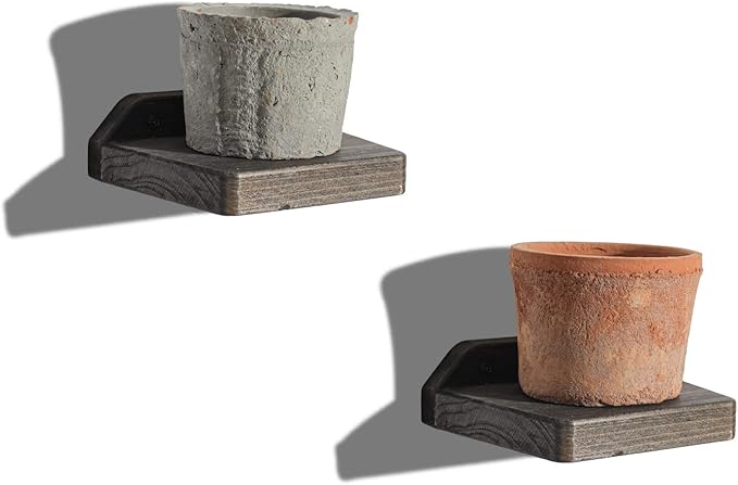 Freezing point Small Floating Shelves for Wall Set of 2 Natural Wood 5Inch Small Mini Wall Shelf Decor Plant Display Collectibles Mounted Kitchen Bathroom Bedroom Corner Decorative Storage Tiny Stand