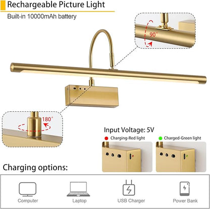 Battery Operated Picture Light with Remote, 24 inch Wireless Rechargeable Art Light with Timer, Dimmable 3CCT Gallery Lighting for Paintings, Portraits, and Canvas (Brass, 23.6inch)