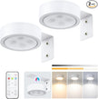 2-Pack Picture Light Battery Operated, LED Painting Lights with Remote, Dimmable and Timer Painting Light, Art Display Light for Picture Frame Artworking Portrait, Home Wall Decor wall lights, White