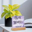 Purple Desk Decor For Bedroom Lavender Room & Office Desk Decor Pray About Everything Worry About Nothing Sign Prayer Room Sign Gifts for Women Acrylic Plaques With Wooden Stand Tabletop Decorations