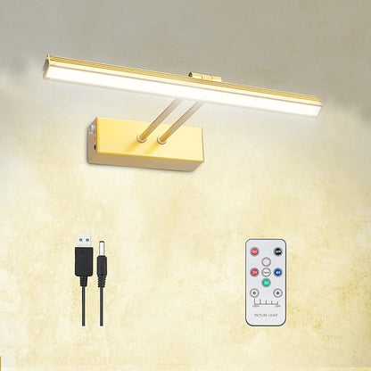 FUNCHDAY Picture Light,Battery Art Lights for Wall,Wireless Remote Painting Light with Timer and Dimmable,13”Metal Display Lighting for Artwork,Portrait,Gallery(Brass)