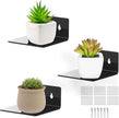 Acrylic Wall Shelves,Clear 4 inch Floating Shelves for Display,Ledges Pop Figures,Plant,Tiny Wall Mounted Transparent Shelf Small Invisible Shelves with Adhesive for Bedroom Living Room Decoration