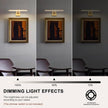 Modern Dimmable Picture Lights for Wall 15.75 Inch Hard-Wired LED Picture Frame Lights for Paintings Gallery Light with Adjustable Swing Arm Display Lights For Artwork, 7W, 2700K, Warm White - Brass
