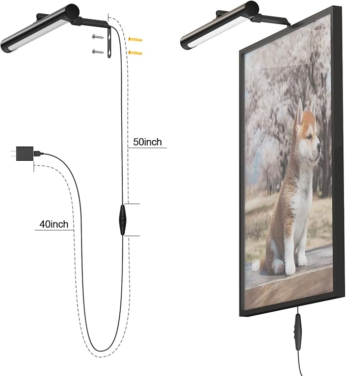 4W Picture Light Plug in, 12