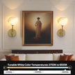 MOITA Wall Sconces Set of Two, Wireless Battery Operated Wall Decor with Remote, Sconces Wall Lighting with Glass Shade, Upward and Downward Installation, 12 RGB Colors and 3 CCT Options