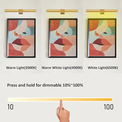 Wireless Picture Light Battery Operated,Rechargeable Painting Light with Remote Control, Metal Art Display Lamp,3 Modes,Dimmable Dartboard Light with Timer for Frame Gallery,300LM, Gold