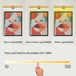 Wireless Picture Light Battery Operated,Rechargeable Painting Light with Remote Control, Metal Art Display Lamp,3 Modes,Dimmable Dartboard Light with Timer for Frame Gallery,300LM, Gold