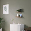 Ballucci Floating Shelves, 16