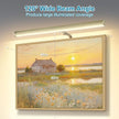 LED Picture Lights for Paintings Plug in, 16inch 6W Adjustable Art Light Gallery Wall Light for Display Art Work, Antique Brass Finish, CRI90+, 3000K Warm White