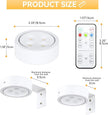 2-Pack Picture Light Battery Operated, LED Painting Lights with Remote, Dimmable and Timer Painting Light, Art Display Light for Picture Frame Artworking Portrait, Home Wall Decor wall lights, White