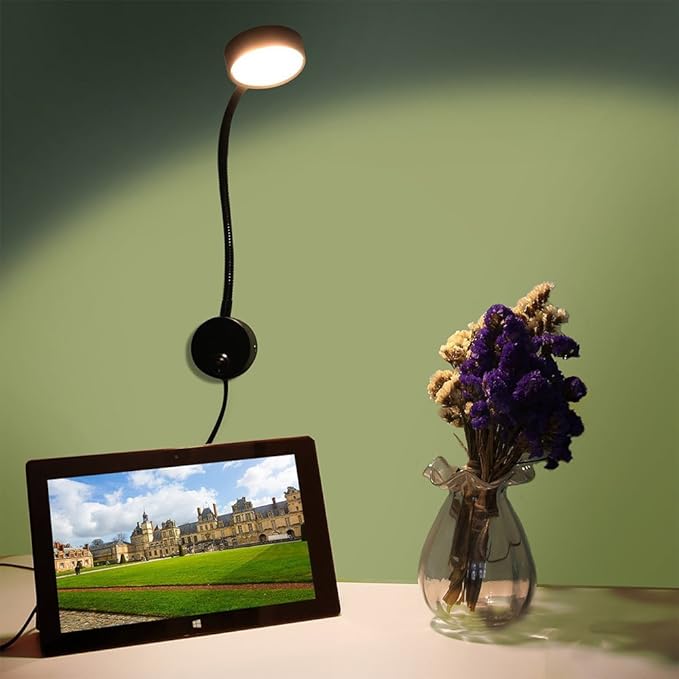 Youngine 5W Plug Wired Flexible Gooseneck Wall Sconce Reading Lamp Art Works Show Accent Light Wall Mount Spot Lamp Fixture with On/off Switch (Round Black-Cool White)