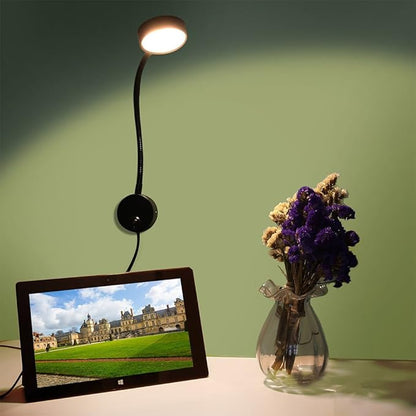 Youngine 5W Plug Wired Flexible Gooseneck Wall Sconce Reading Lamp Art Works Show Accent Light Wall Mount Spot Lamp Fixture with On/off Switch (Round Black-Cool White)