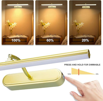 Picture Light,3AA Battery Wall Lights,Wireless Art Lights for Paintings,Remote Control Accent Light with Timer and Dimmable for Frame,Portrait,Mirror-GD