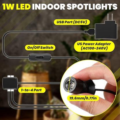 Mini LED Spotlight Plug in, 2-in-1 Indoor Small Spot Lights for Paired Display Art Model, Wired Accent Uplights for Plant Picture (Warm White)