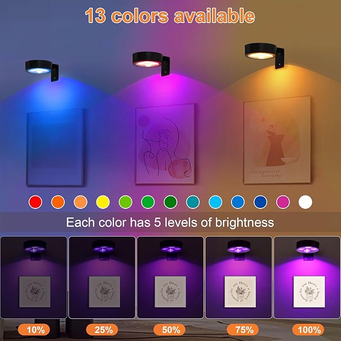 6Pcs Rechargeable Battery Picture Light,13 RGB Color Magnetic Wall Lights for Pictures with Remote Dimmable and Timer, Art Display Light for Paintings Battery Operated-RGB Black