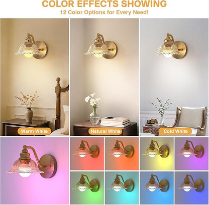 Redluck Battery Operated Wall Sconce with Remote Control, Vintage Amber Glass Wireless Wall sconces Set of Two, Rechargeable Battery Powered Wall Lamp for Bedside Bedroom Living Room Hallway Decor