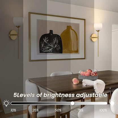 Vintage Battery Operated Wall Sconce Set of 2, Wall Lights with RGB Dimmable Bulbs and Remote,Rechargeable LED Wireless Wall Lamps for Living Room Hallway Bedroom