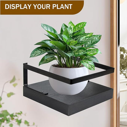 ARTORA Wall Mounted Plant Holder, Wooden Floating Shelf with Invisible Bracket Wall Mount Wood Rack Small Decorative Display Shelves with Gaurdrail for Bedroom Living Room Bathroom (Black,1 Pack)