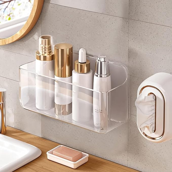 Diesisa Acrylic Wall Mount Organizer - 5.1