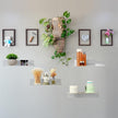 Blulu 8 Pcs Acrylic Floating Shelf, Invisible Wall Mounted Shelf for Book Plants Picture Makeup Record Display in Living Room, Bathroom, Bedroom, Kitchen, Office(12 x 4 x 2 Inches,Clear)
